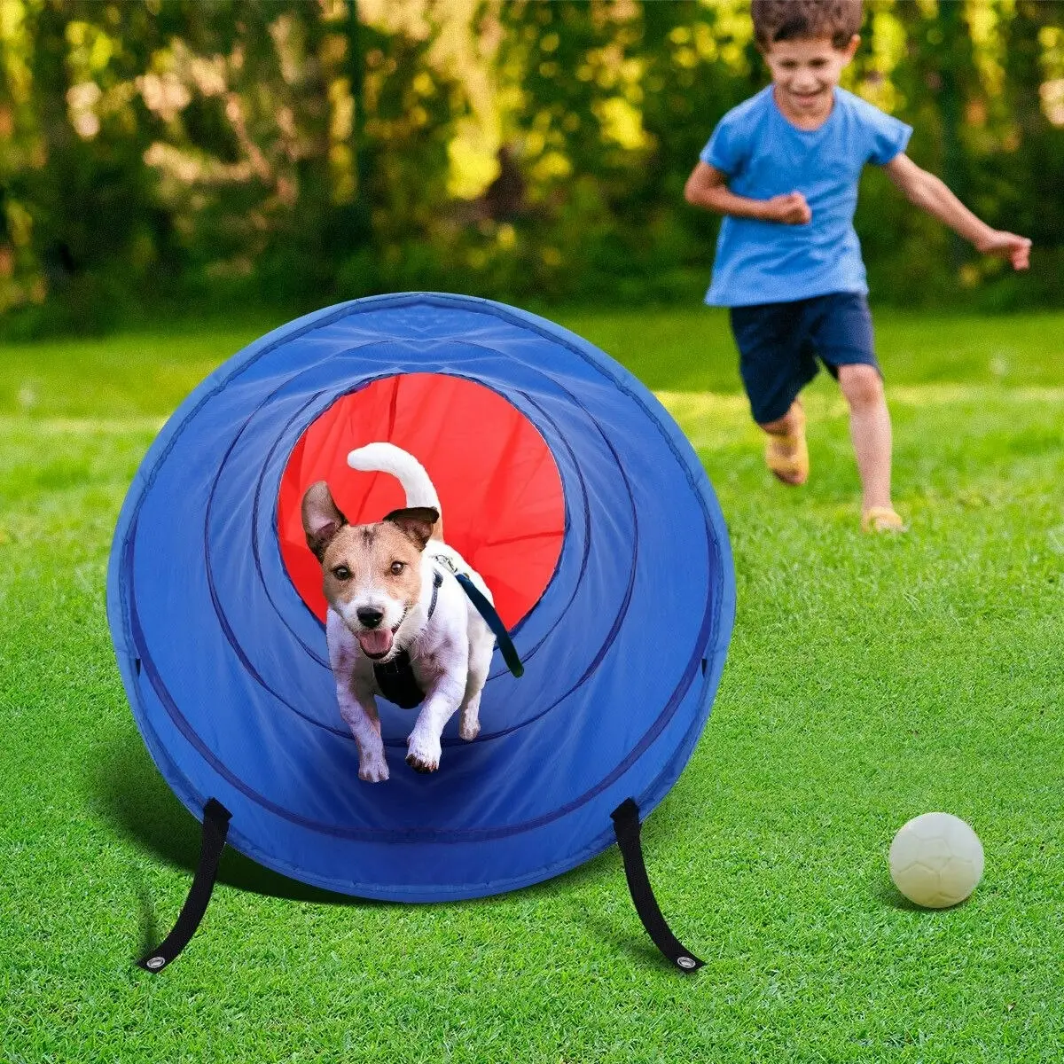 Ausway Pet Dog Tunnel Puppy Agility Equipment Interactive Toys Exercise Training with Carrying Case