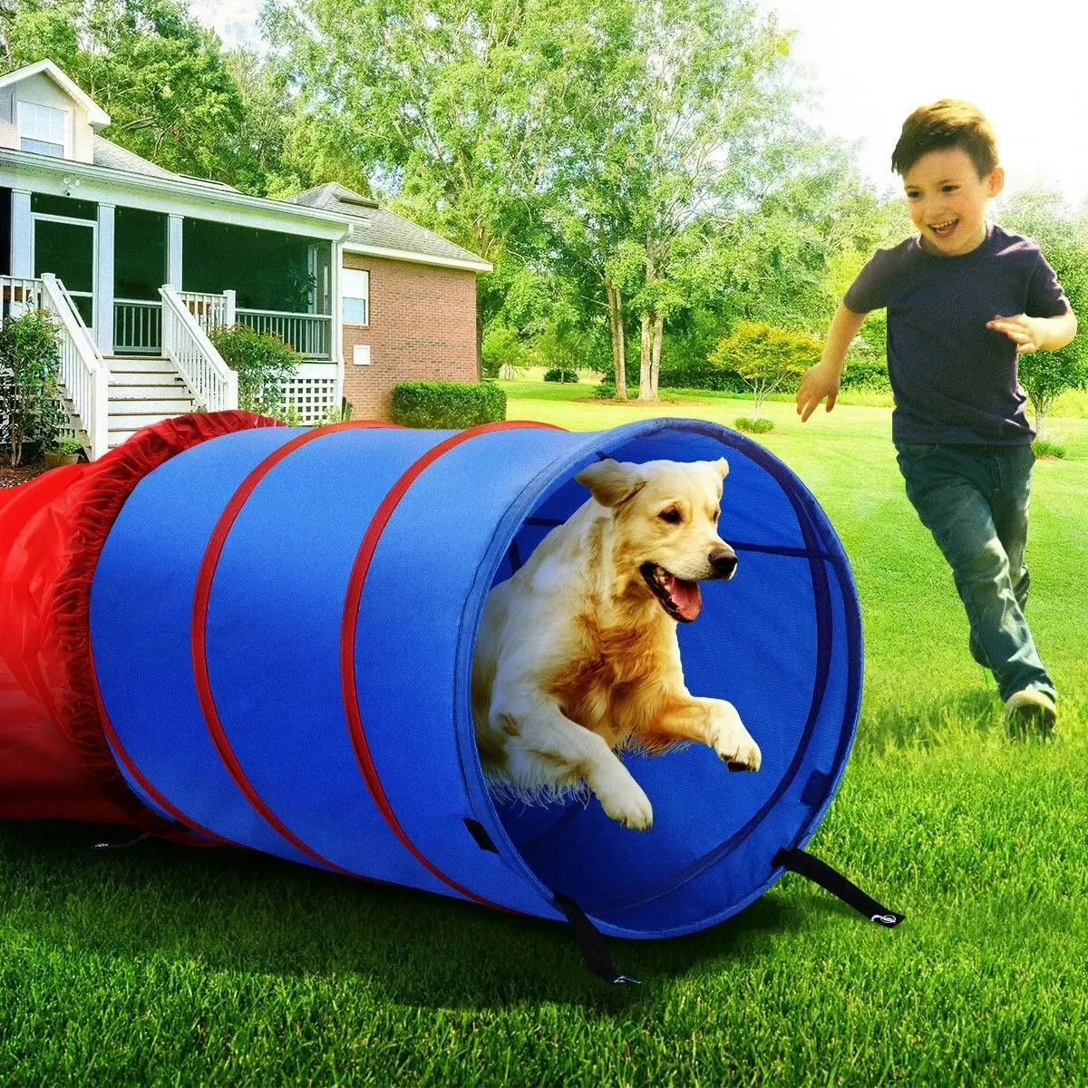 Ausway Pet Dog Tunnel Puppy Agility Equipment Interactive Toys Exercise Training with Carrying Case