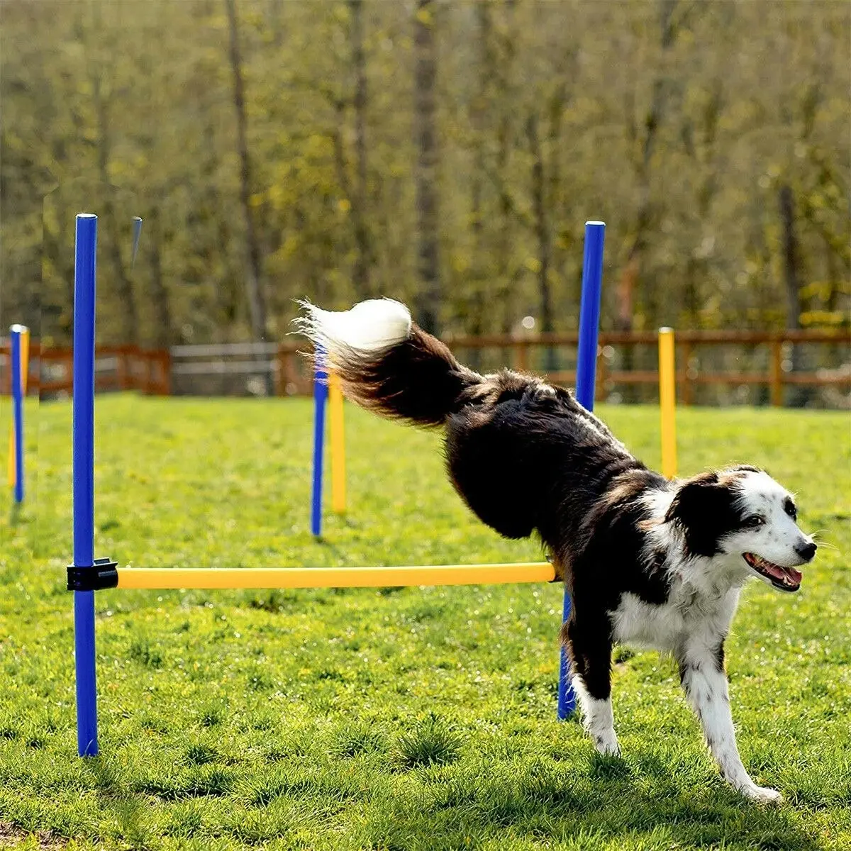 Ausway Pawise Dog Agility Equipment Set 28 PCS Pet Obstacle Training Course Tunnel Poles Pause Box Carrying Bags