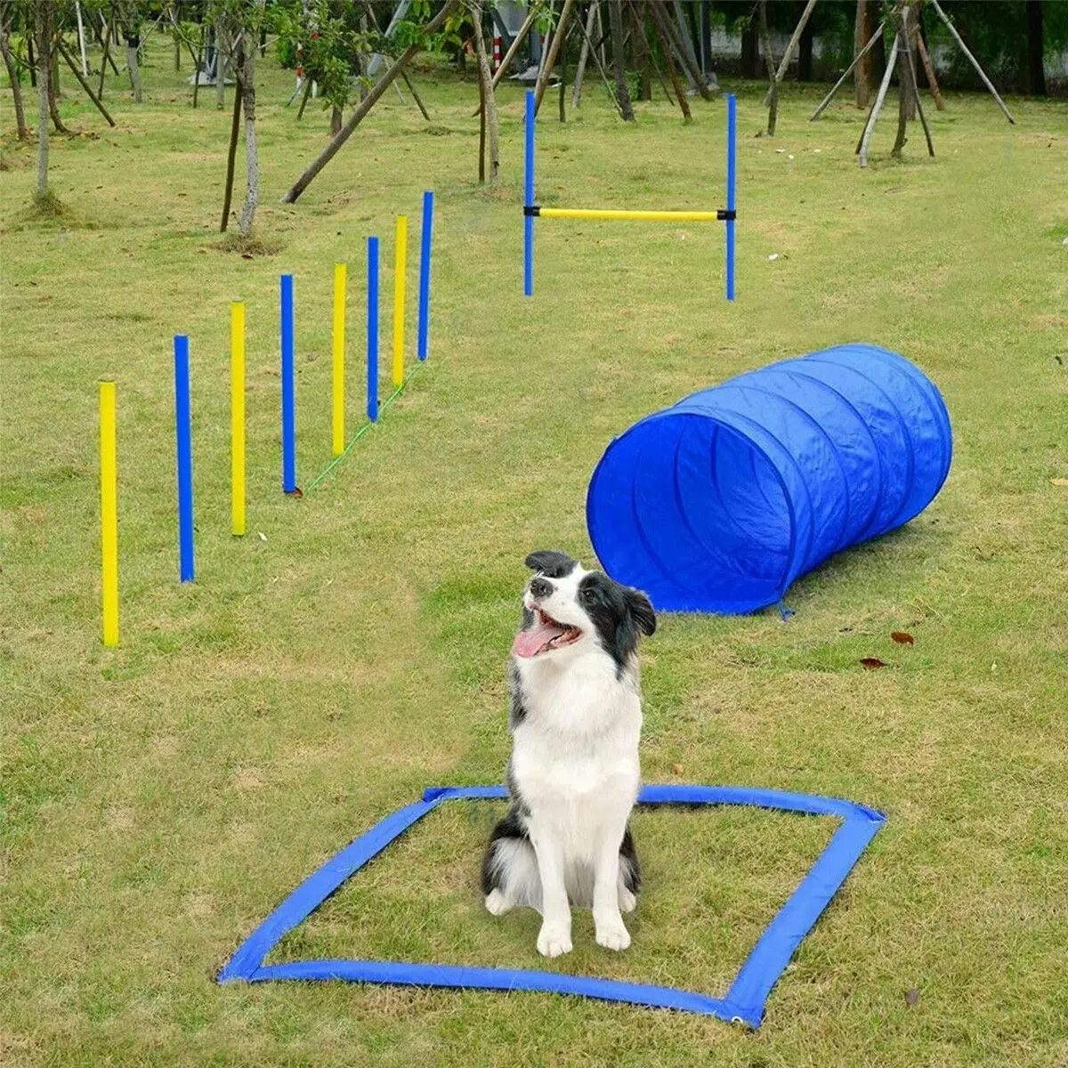 Ausway Pawise Dog Agility Equipment Set 28 PCS Pet Obstacle Training Course Tunnel Poles Pause Box Carrying Bags