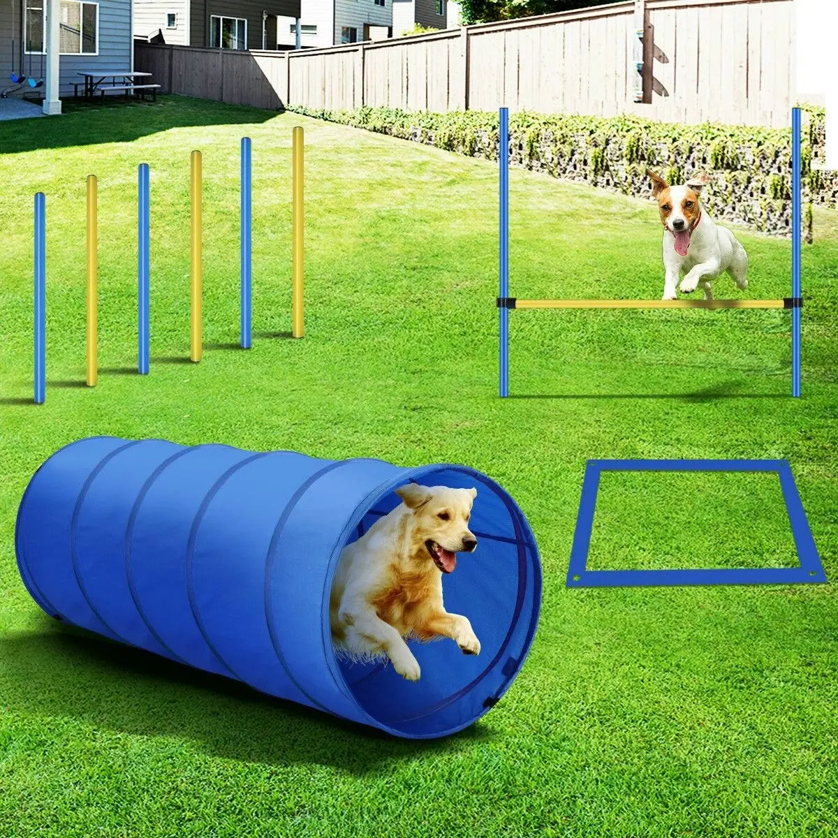 Ausway Pawise Dog Agility Equipment Set 28 PCS Pet Obstacle Training Course Tunnel Poles Pause Box Carrying Bags