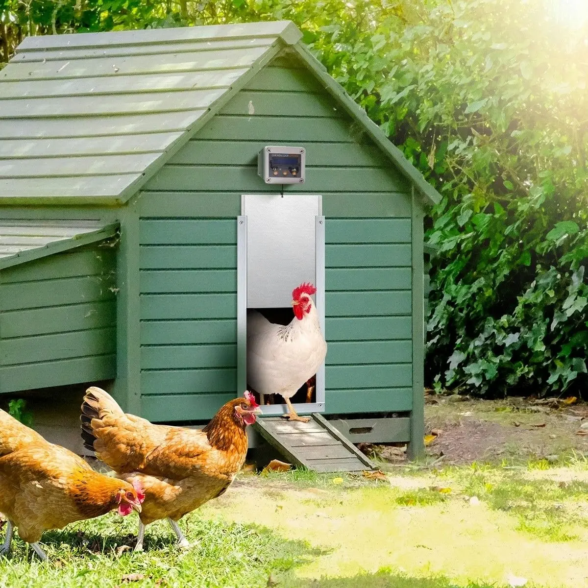 Pet Scene Automatic Chicken Door Opener Coop Auto House Cage Closer Controller Kit Timer Light Sensor