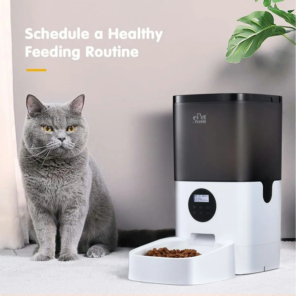 Pet Scene Petscene 6L Automatic Pet Feeder Dog Cat Feeder Food Dispenser with LCD Screen