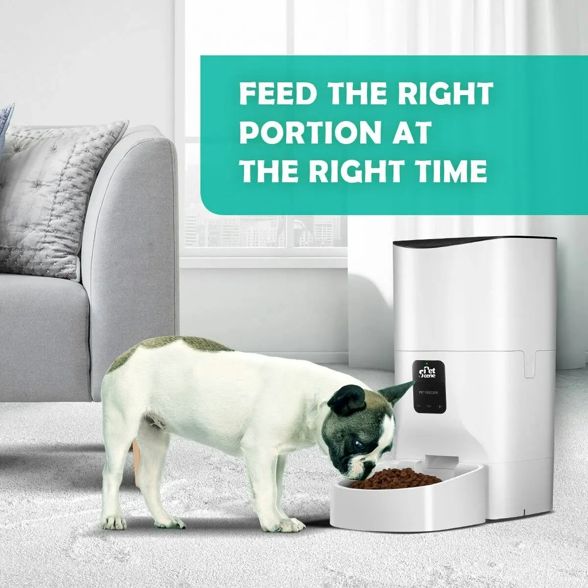 Pet Scene 9L Automatic Pet Feeder Wi-Fi Smart Cat Dog Feeder with App Remote Control