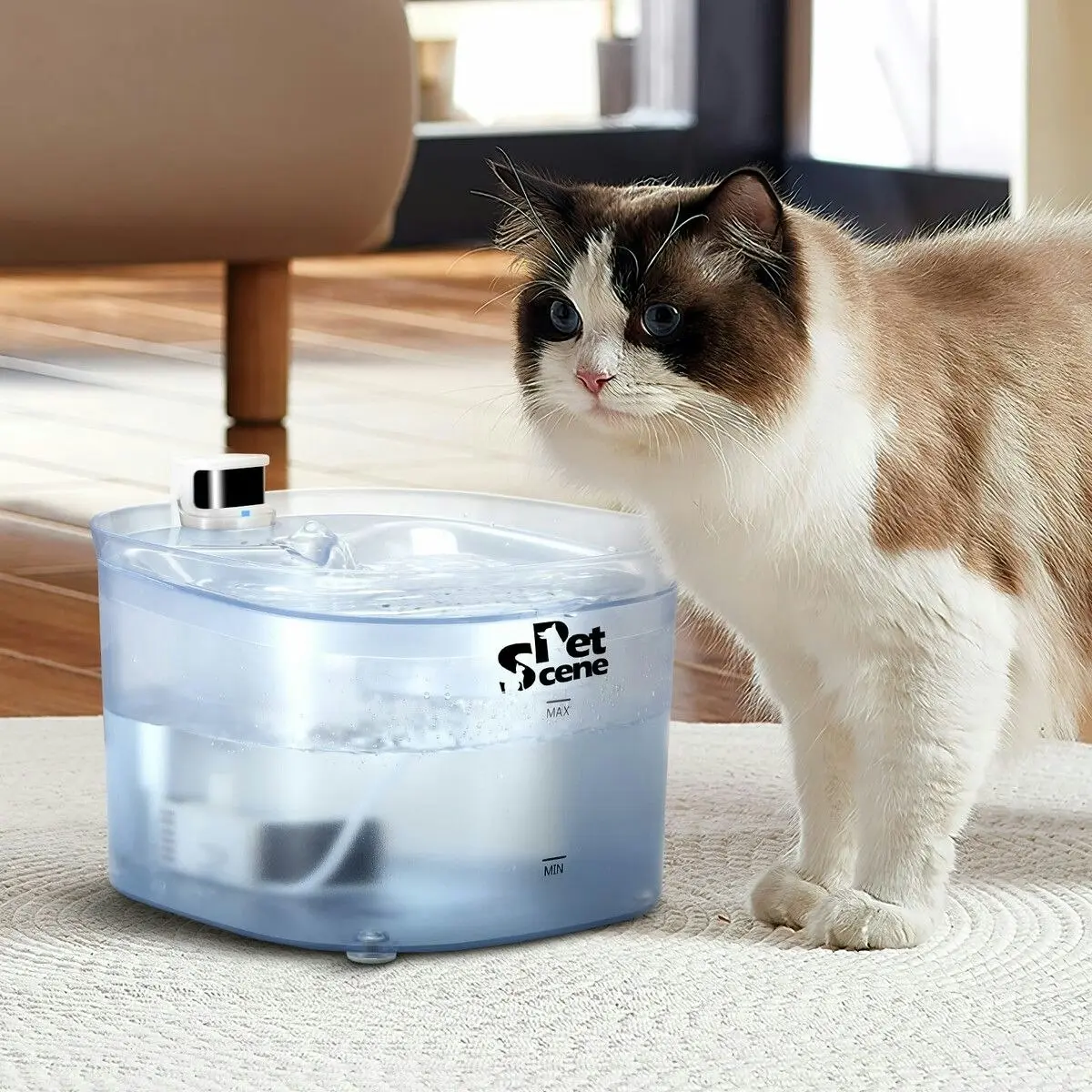 Pet Scene 2.5L Automatic Cat Water Fountain Smart Pet Drinking Dispenser Feeder Bowl with Infrared Sensored