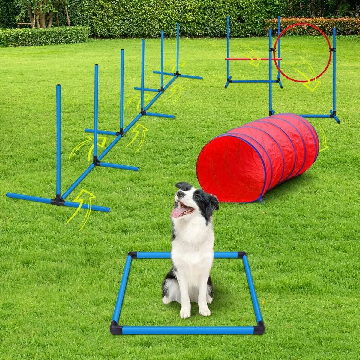 Pet Scene Petscene Dog Agility Equipment 5PC Set Obstacle Course Pet Training Kit Supplies Jump Hurdle Tunnel Poles Pause Box Carrying Bags