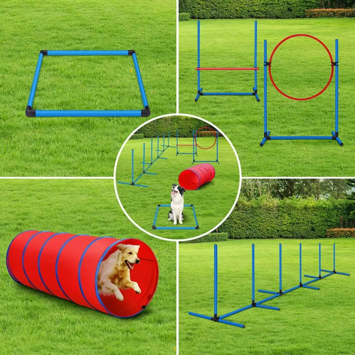 Pet Scene Petscene Dog Agility Equipment 5PC Set Obstacle Course Pet Training Kit Supplies Jump Hurdle Tunnel Poles Pause Box Carrying Bags