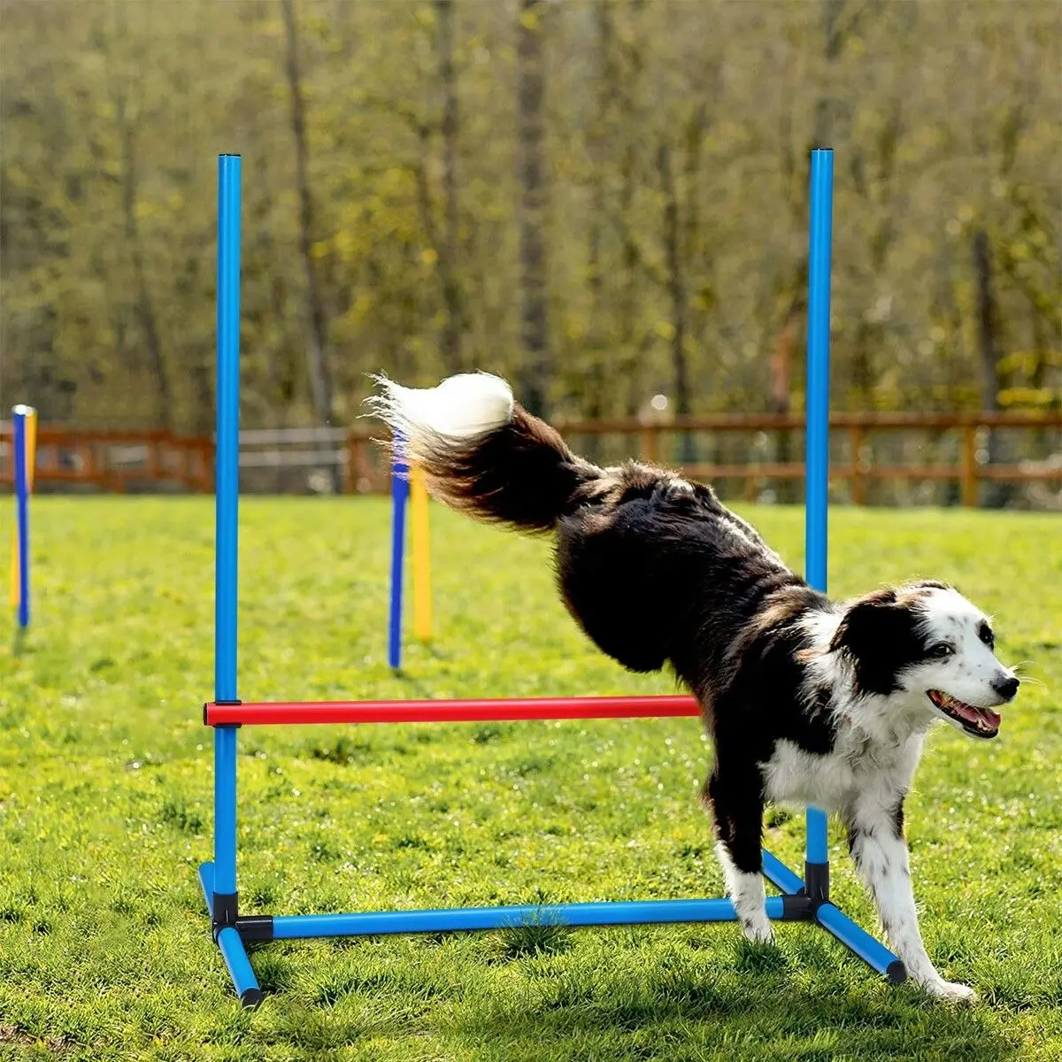 Pet Scene Petscene Dog Agility Equipment 5PC Set Obstacle Course Pet Training Kit Supplies Jump Hurdle Tunnel Poles Pause Box Carrying Bags