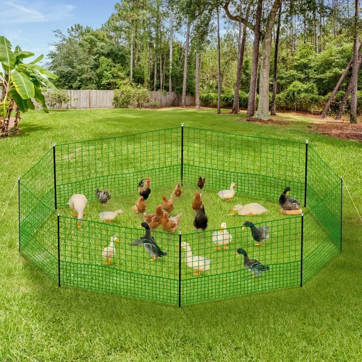 Pet Scene Chicken Fence Poultry Coop Runs Pen Farm Mesh Cage Net Habitat Safe House Turkey Breeding 1.15m x 25m