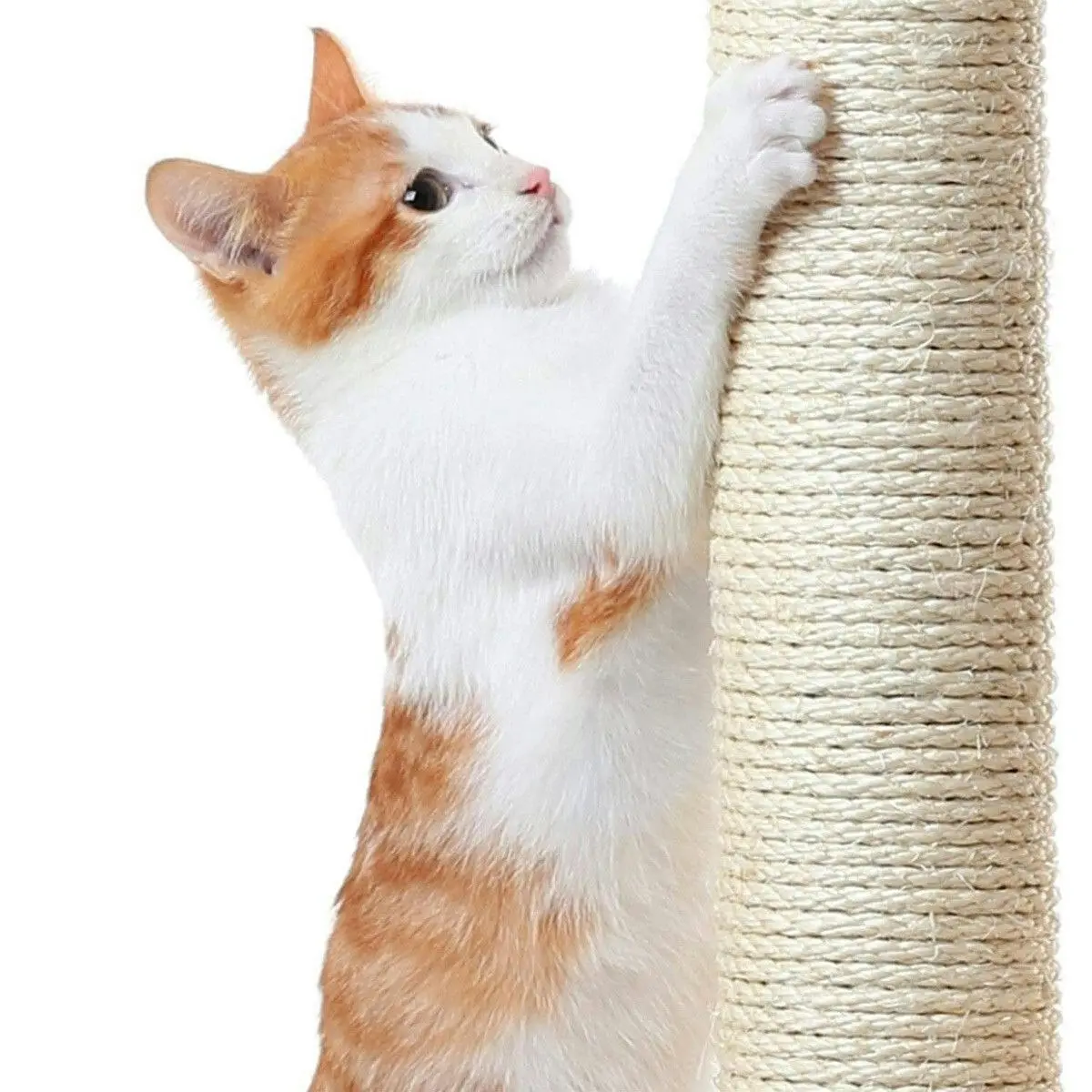 Pet Scene Cat Tower Tree House Scratching Post Multi-level Scratcher Gym 130cm Tall with Condos Hanging Toys