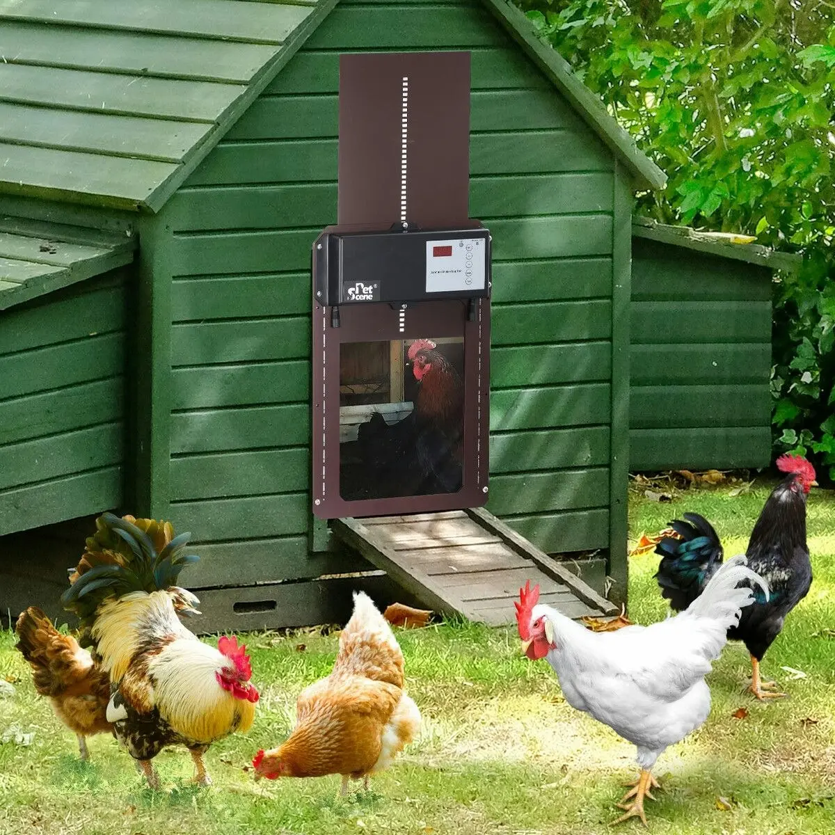 Pet Scene Petscene Automatic Chicken Coop Door Opener Kit LED Lights Timer Light Sensor Remote Waterproof