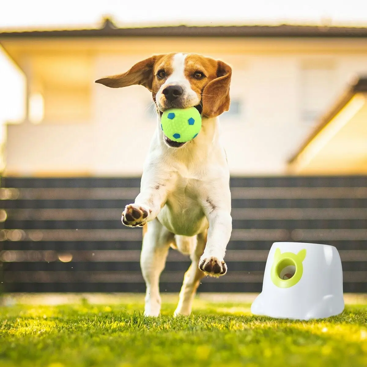 Pet Scene Dog Ball Launcher Automatic Thrower Fetch Throwing Machine Adjustable Distance 3 Coloured Silicone Balls Waterproof Dirt Resistant Petscene