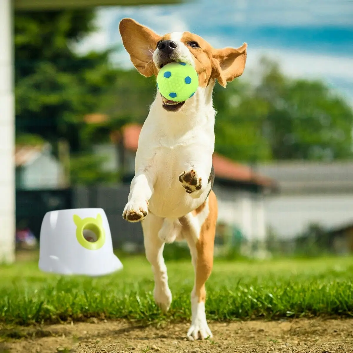 Pet Scene Dog Ball Launcher Automatic Thrower Fetch Throwing Machine Adjustable Distance 3 Coloured Silicone Balls Waterproof Dirt Resistant Petscene