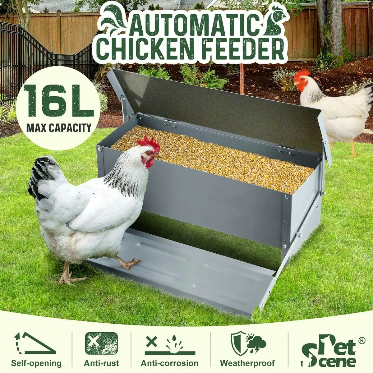 Pet Scene 16L Auto Chicken Feeder Poultry Hen Chook Feeding Treadle Food Dispenser Automatic Self Opening Rat Pest Proof Galvanised Steel XL Petscene