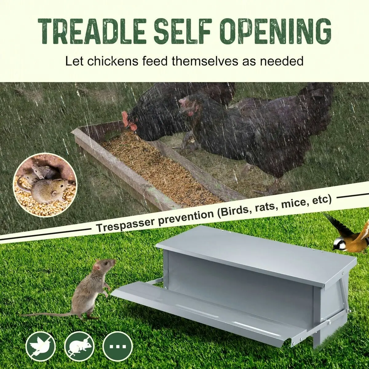 Pet Scene 16L Auto Chicken Feeder Poultry Hen Chook Feeding Treadle Food Dispenser Automatic Self Opening Rat Pest Proof Galvanised Steel XL Petscene