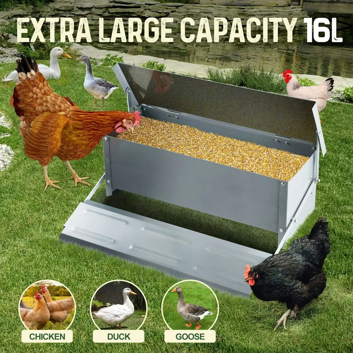 Pet Scene 16L Auto Chicken Feeder Poultry Hen Chook Feeding Treadle Food Dispenser Automatic Self Opening Rat Pest Proof Galvanised Steel XL Petscene