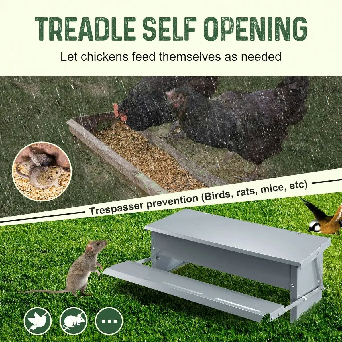 Pet Scene Auto Chicken Feeder Poultry Chook Food Feeding Automatic Treadle Dispenser Rat Water Proof Galvanised Steel Self Opening Coop 9L Petscene