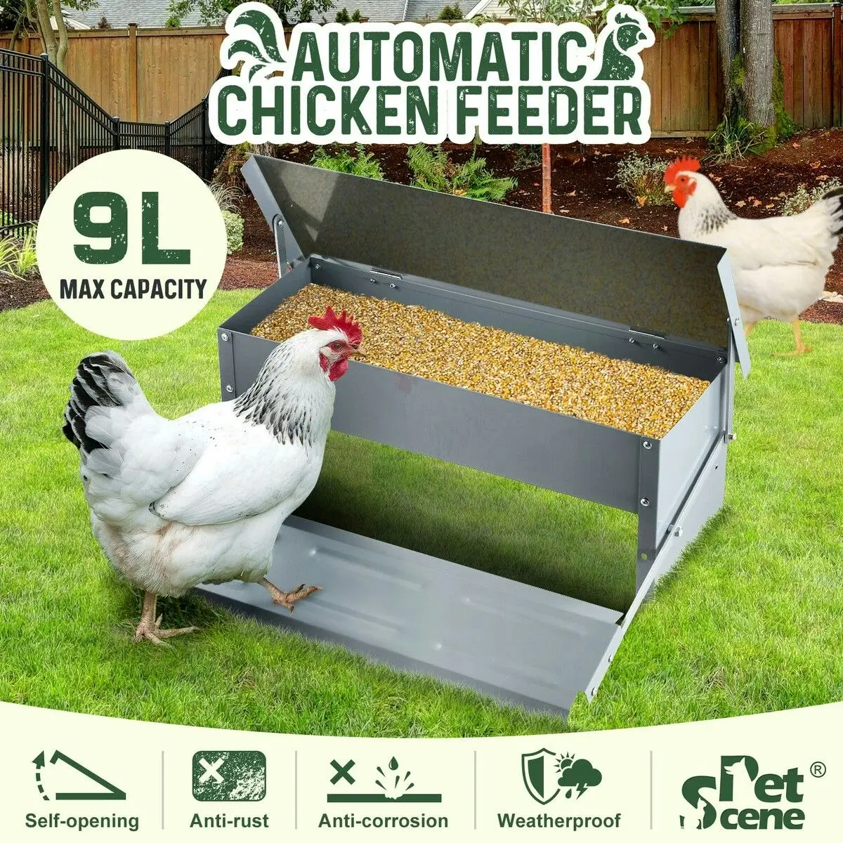 Pet Scene Auto Chicken Feeder Poultry Chook Food Feeding Automatic Treadle Dispenser Rat Water Proof Galvanised Steel Self Opening Coop 9L Petscene