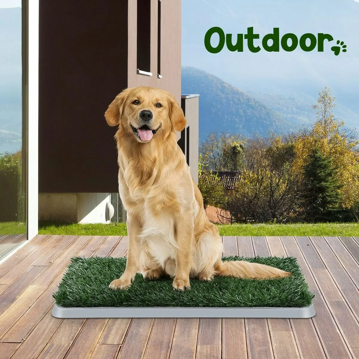 PaWise Pet Dog Grass Toilet Pee Pad Indoor Puppy Potty Training Mat Patch with Removable Tray