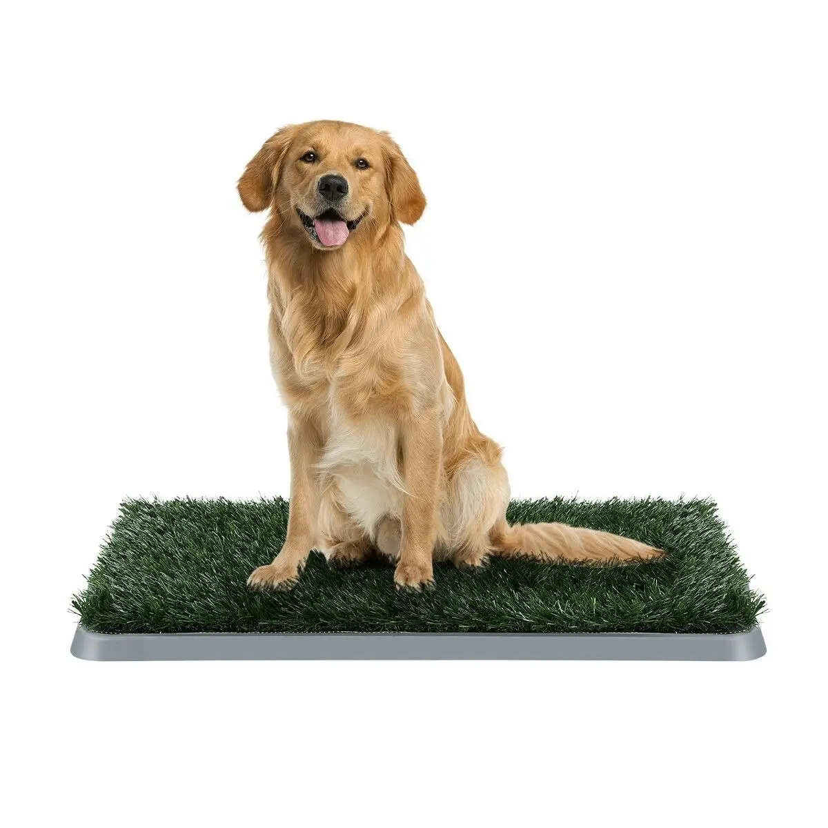 PaWise Pet Dog Grass Toilet Pee Pad Indoor Puppy Potty Training Mat Patch with Removable Tray