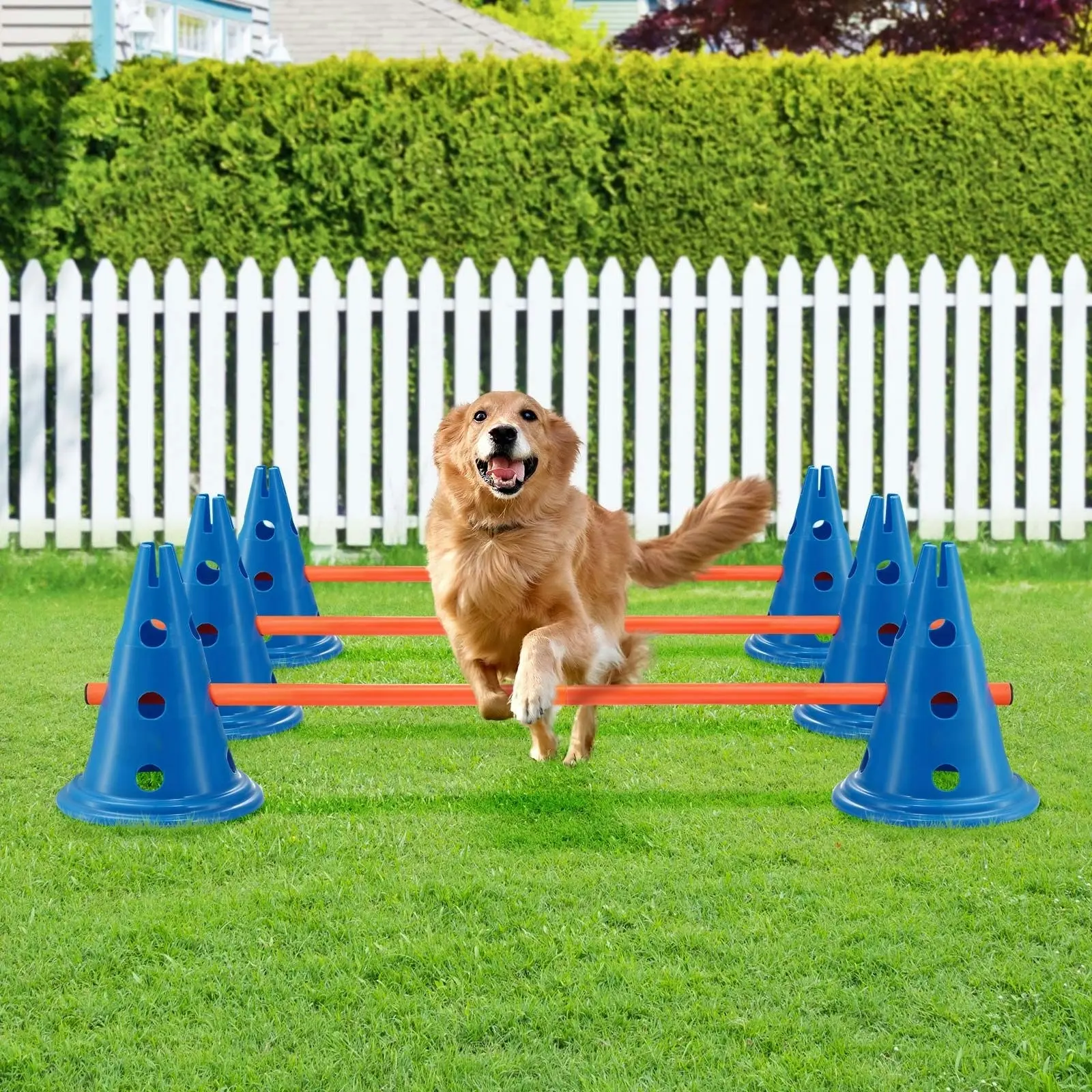 Pet Scene Dog Agility Equipment 7 Set Pet Obstacle Training Course Supplies Jump Puppy Hurdle Cones Weave Poles Carry Bag Water Bottle Bowl