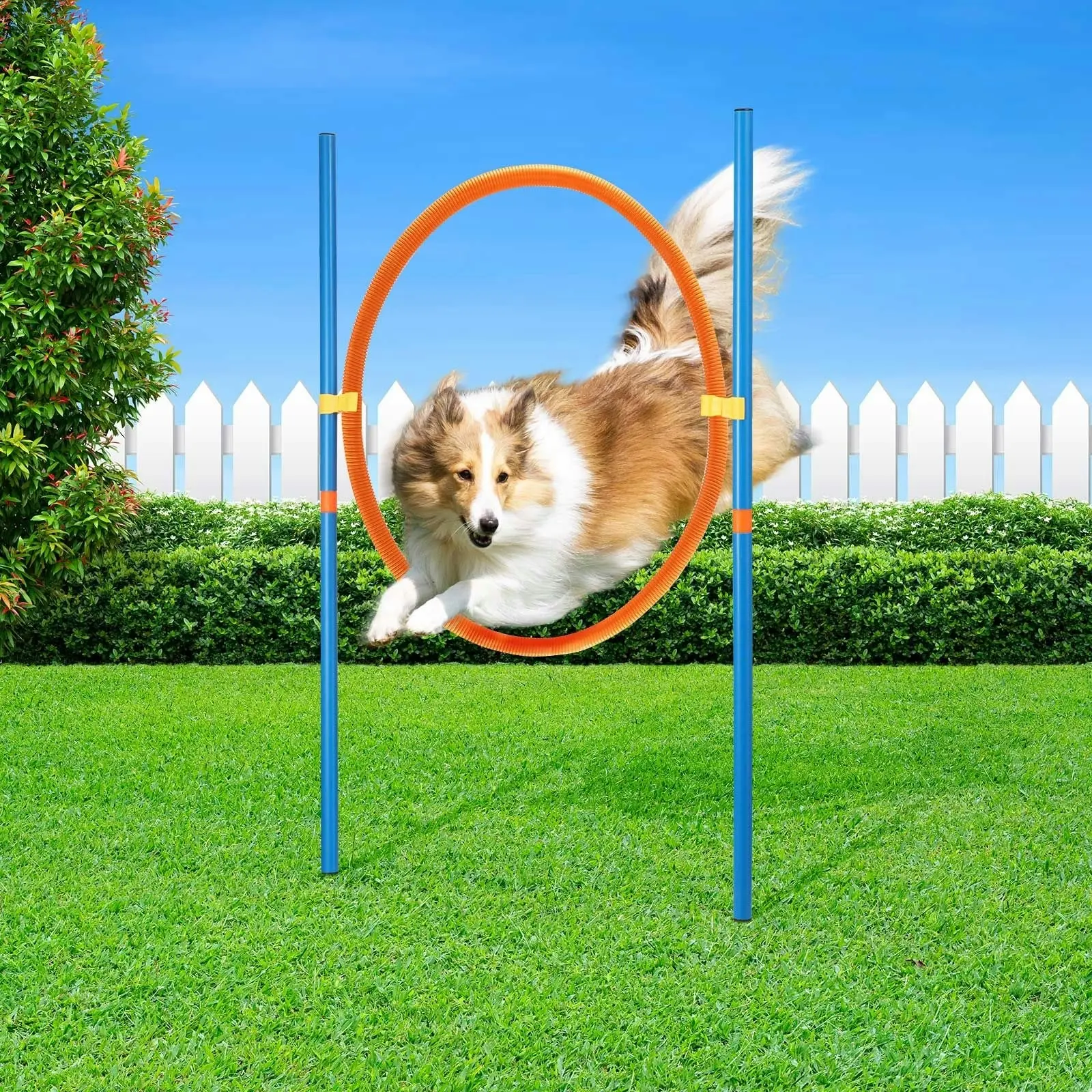 Pet Scene Dog Agility Equipment 7 Set Pet Obstacle Training Course Supplies Jump Puppy Hurdle Cones Weave Poles Carry Bag Water Bottle Bowl