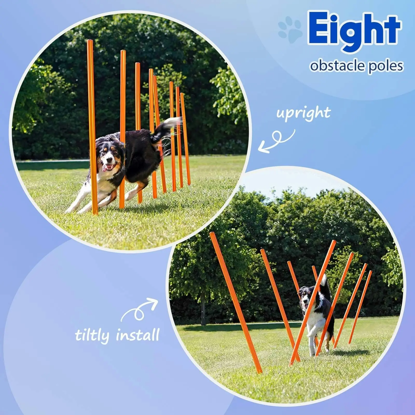 Pet Scene Dog Agility Equipment 7 Set Pet Obstacle Training Course Supplies Jump Puppy Hurdle Cones Weave Poles Carry Bag Water Bottle Bowl