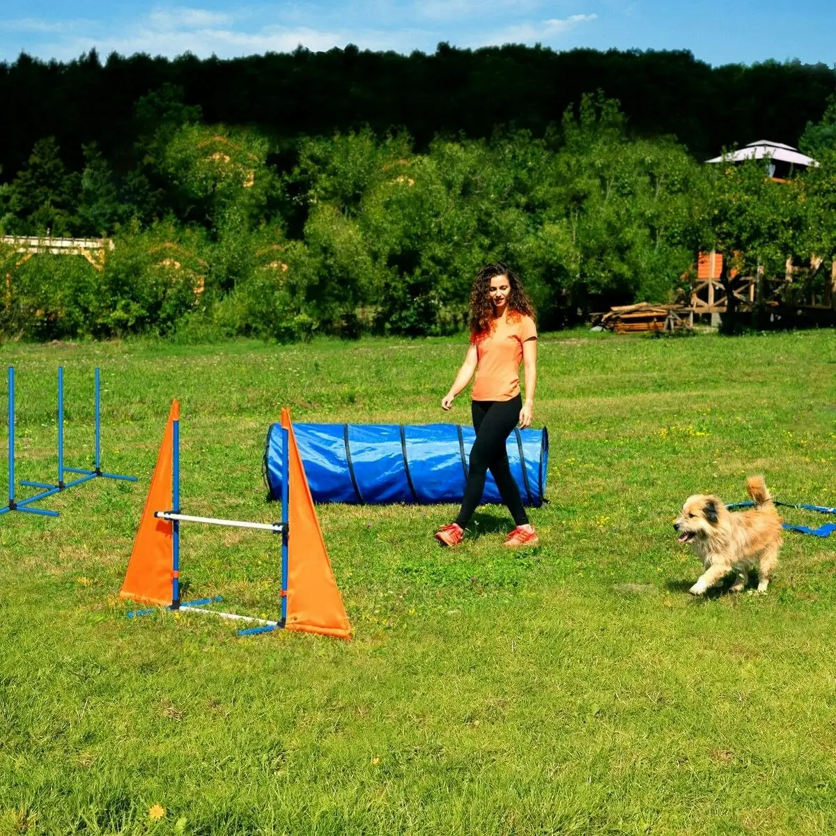 Pet Scene Dog Agility Equipment Obstacle Training Course 7 Set Pet Toys Supplies Hurdle Jump Tire Tunnel Pause Box Weave Poles Frisbees Balls Carry Bags