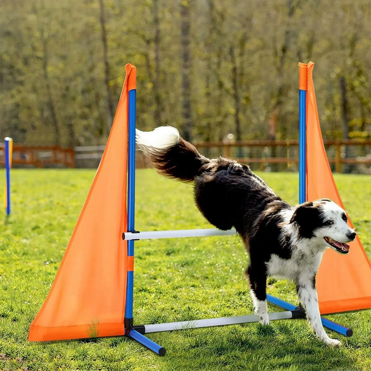 Pet Scene Dog Agility Equipment Obstacle Training Course 7 Set Pet Toys Supplies Hurdle Jump Tire Tunnel Pause Box Weave Poles Frisbees Balls Carry Bags