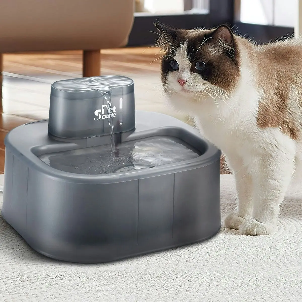 Pet Scene 6L Automatic Pet Fountain Dog Water Dispenser Cat Drinking Feeder Bowl with Replacement Faucet Kit