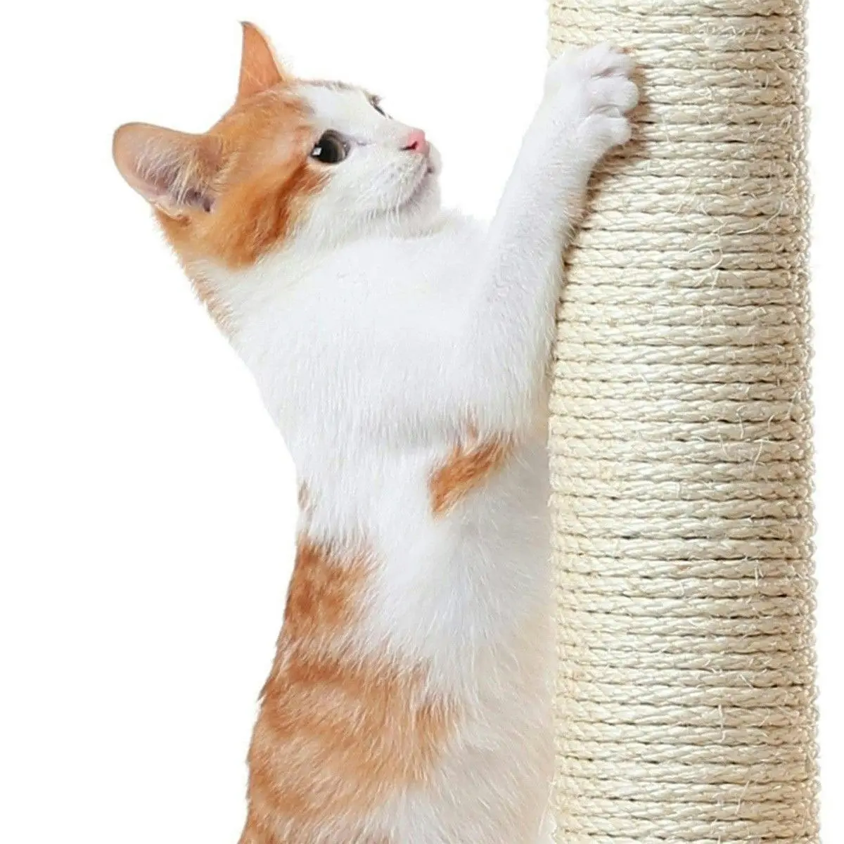 Pet Scene Cat Scratching Post Climbing Pole Tower Tree Playhouse Center w/ Scratcher Condo House Ladder Toys 163cm Tall 5 Levels