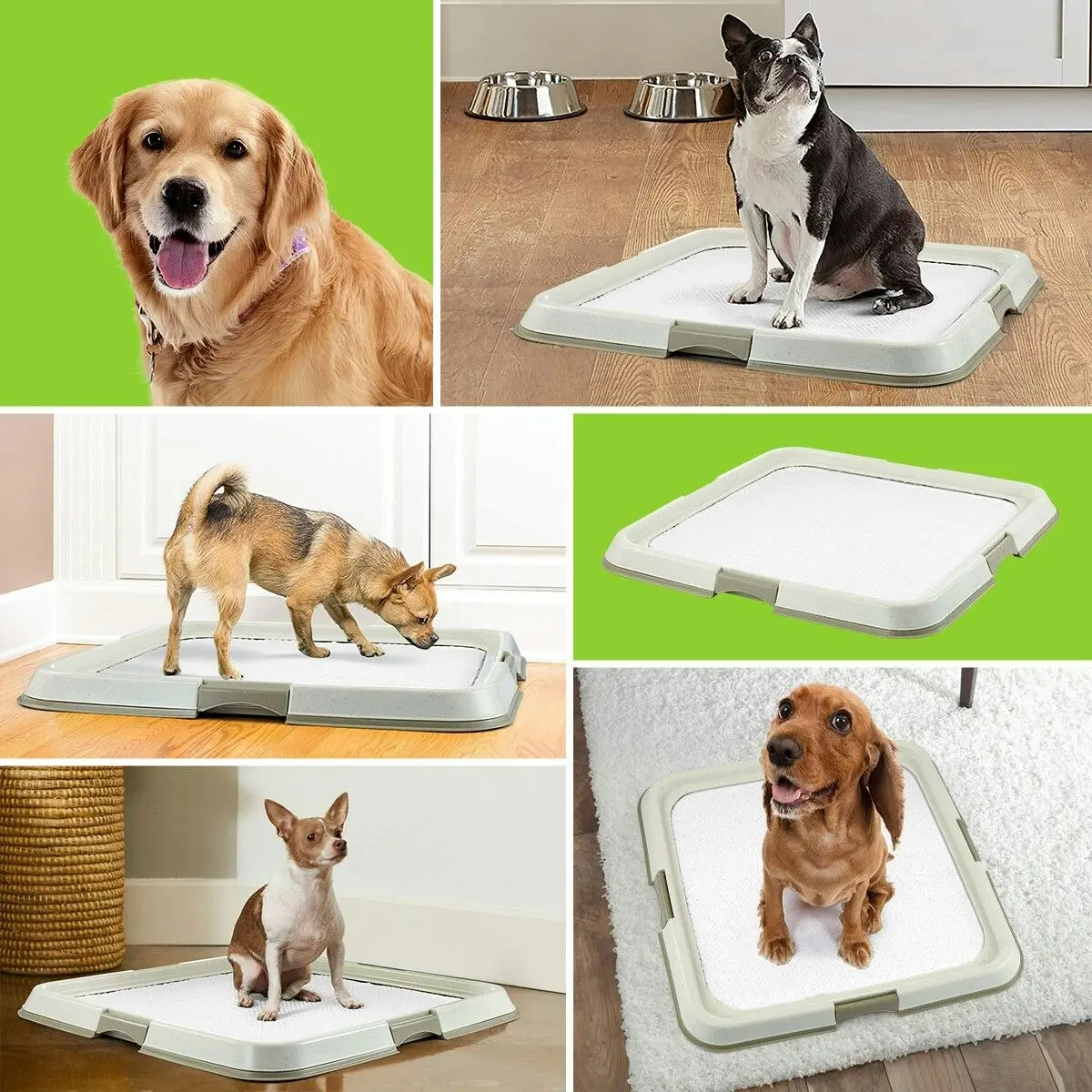 PaWise Pet Dog Pee Pad Holder Indoor Puppy Potty Training Tray Portable Trainer 60x60cm