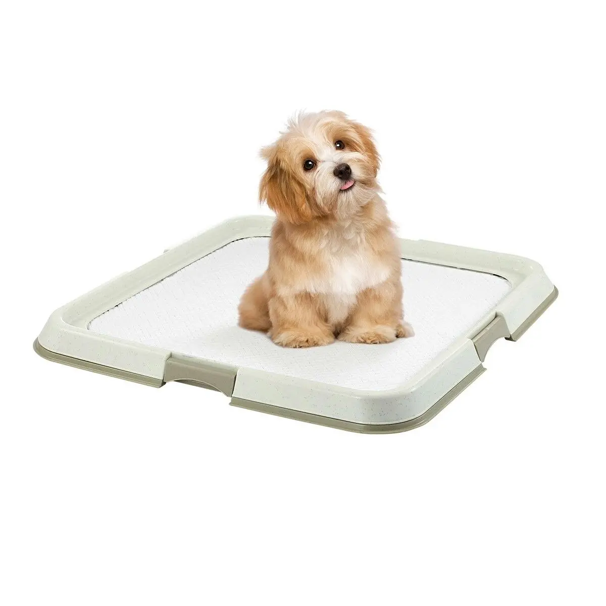 PaWise Pet Dog Pee Pad Holder Indoor Puppy Potty Training Tray Portable Trainer 60x60cm