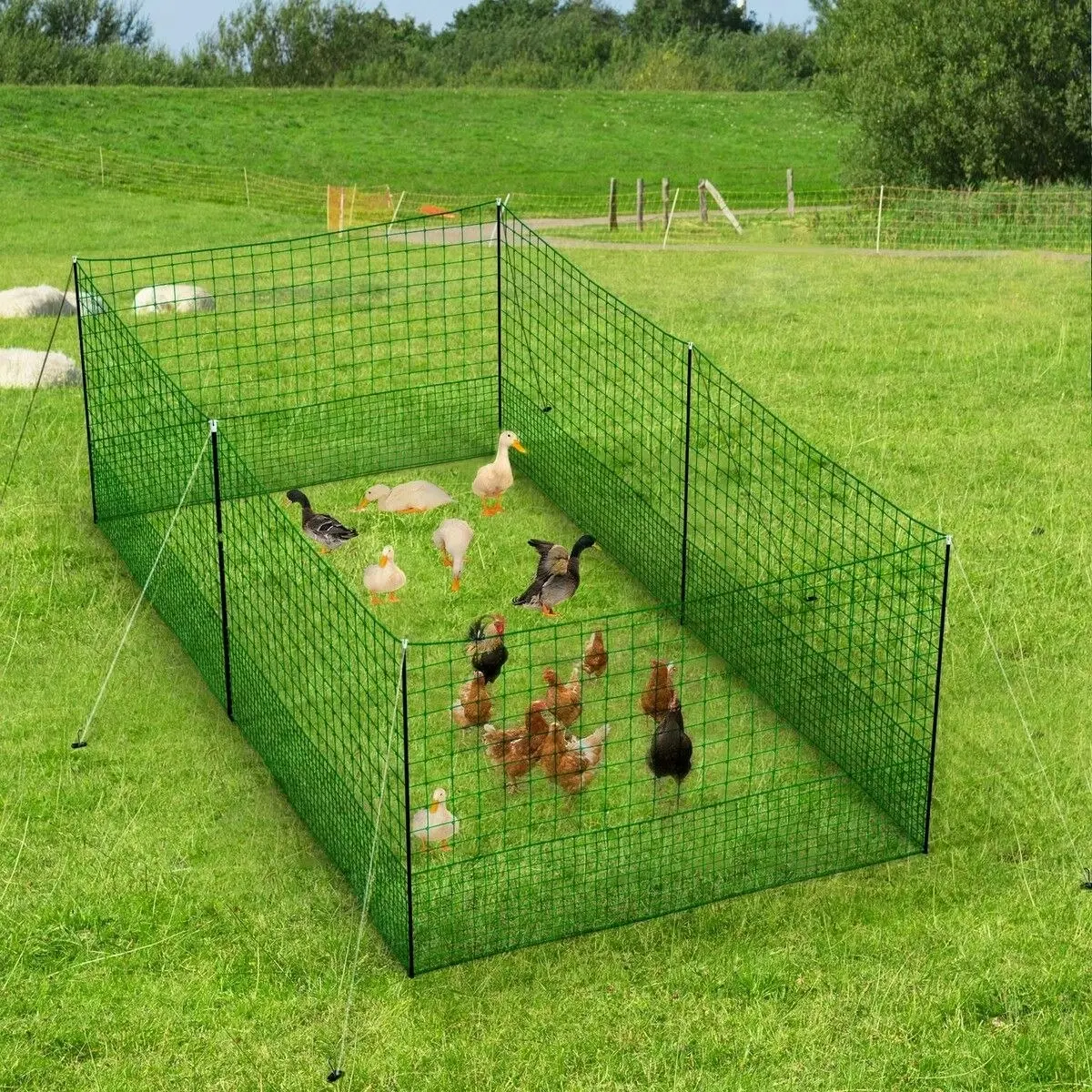 Pet Scene Chicken Run Pen Fence Duck Breeding Farm House Cage Poultry Mesh Netting Enclosure Hutch Outdoor Habitat