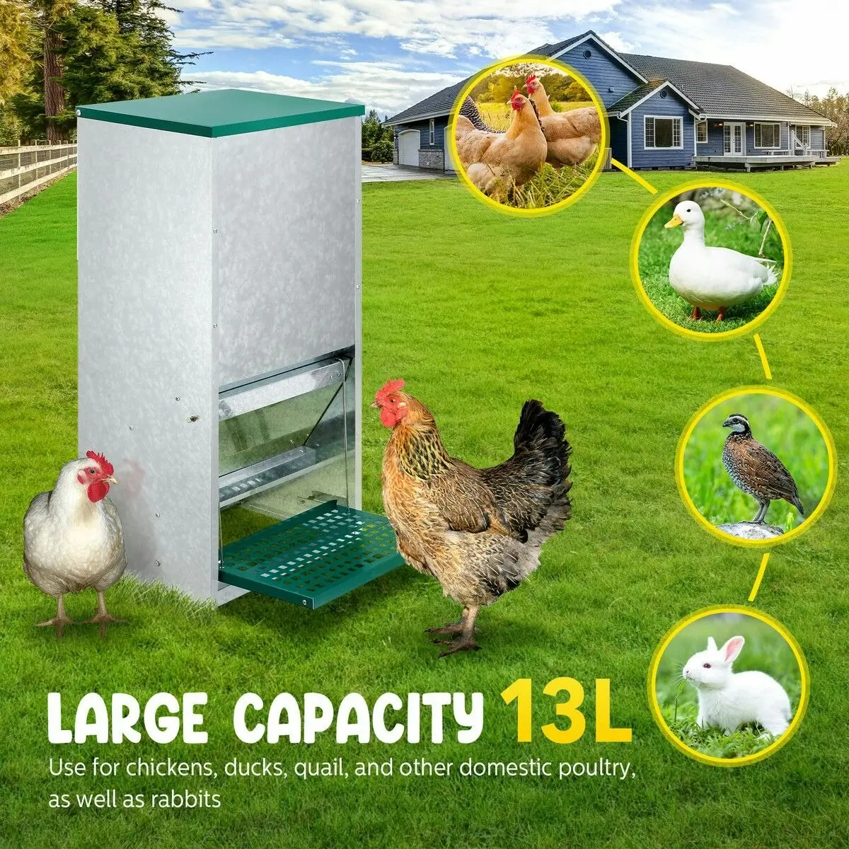 Pet Scene Auto Chicken Feeder Automatic Poultry Treadle Hens Rabbit Chook Food Dispenser Rat Bird Water Proof Galvanised Steel 13L