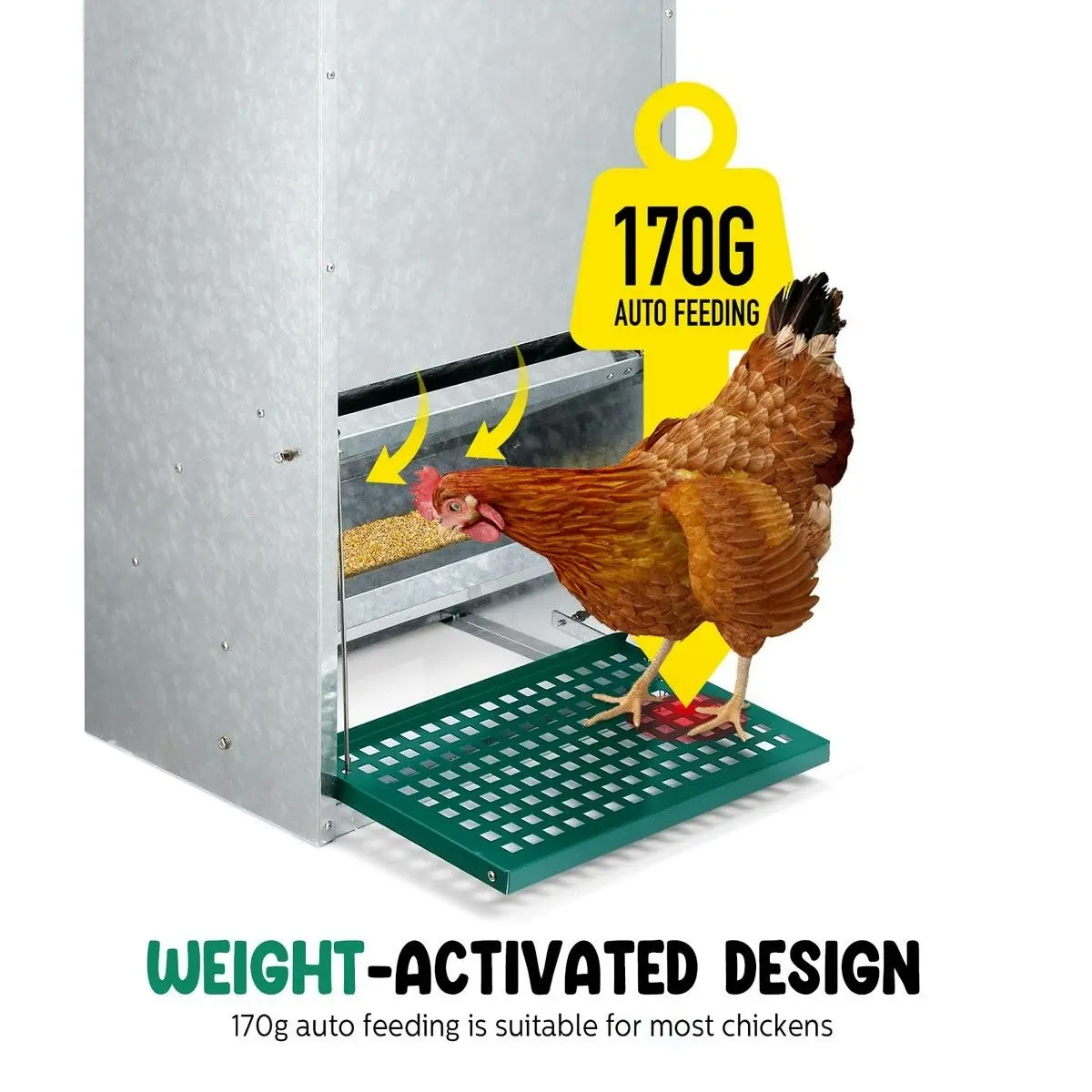 Pet Scene Auto Chicken Feeder Automatic Poultry Treadle Hens Rabbit Chook Food Dispenser Rat Bird Water Proof Galvanised Steel 13L