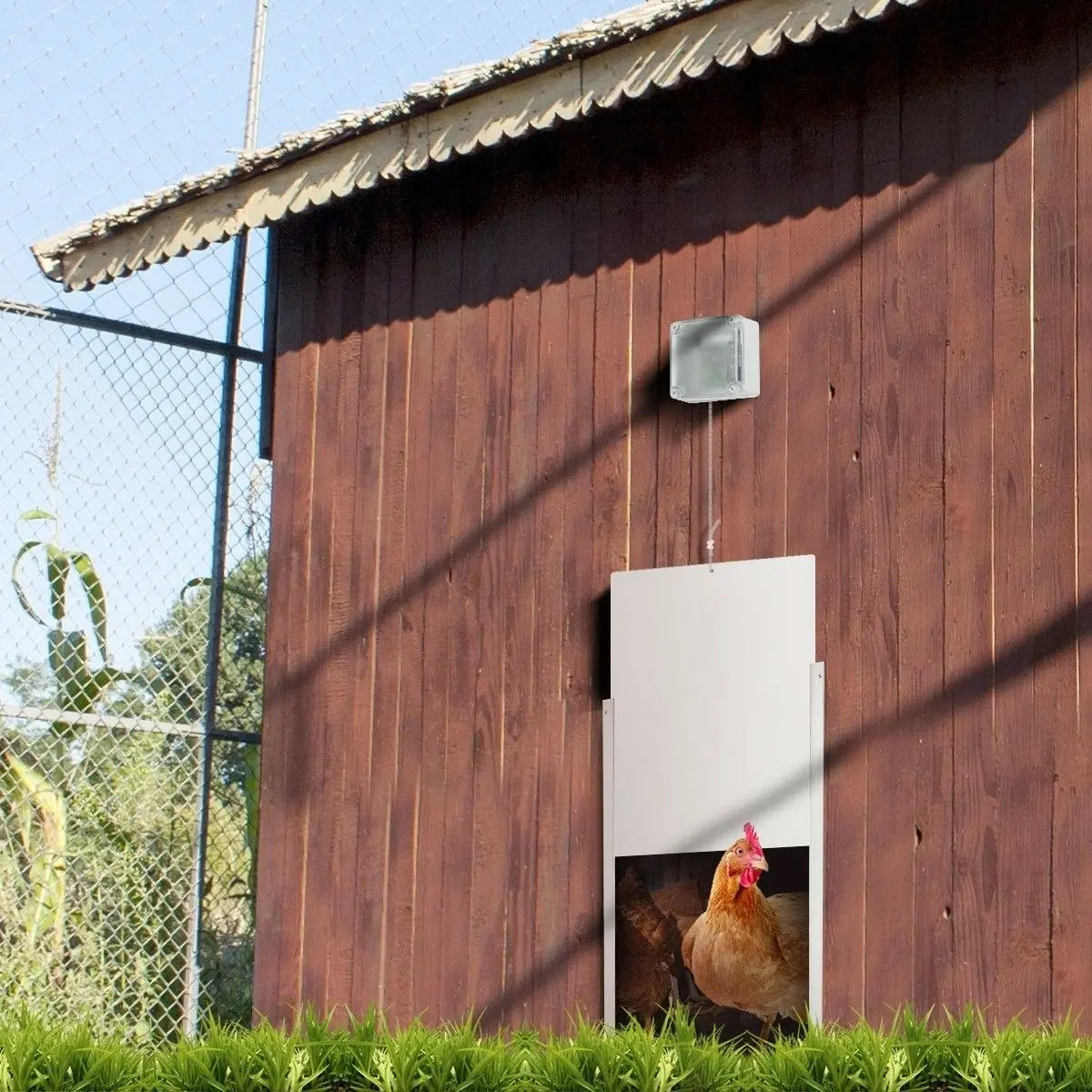 Ausway Automatic Chicken Door Coop Chicken Cage With Timer & Light Sensor