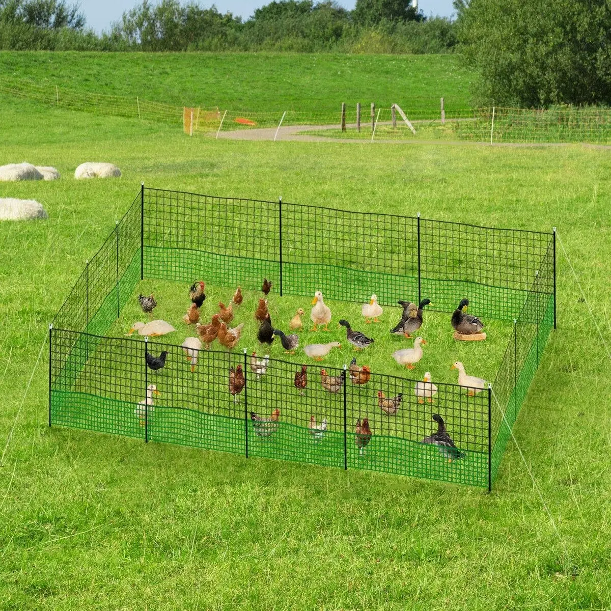 Pet Scene Chicken Coop Cage Pen Run Hen House Chook Fence Poultry Enclosure Mesh Net Hutch Habitat Netting Yard Farm Fencing 3000x125CM