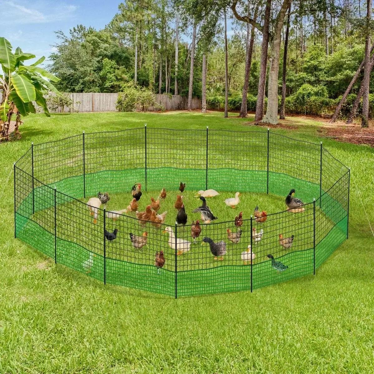 Pet Scene Chicken Coop Cage Pen Run Hen House Chook Fence Poultry Enclosure Mesh Net Hutch Habitat Netting Yard Farm Fencing 3000x125CM