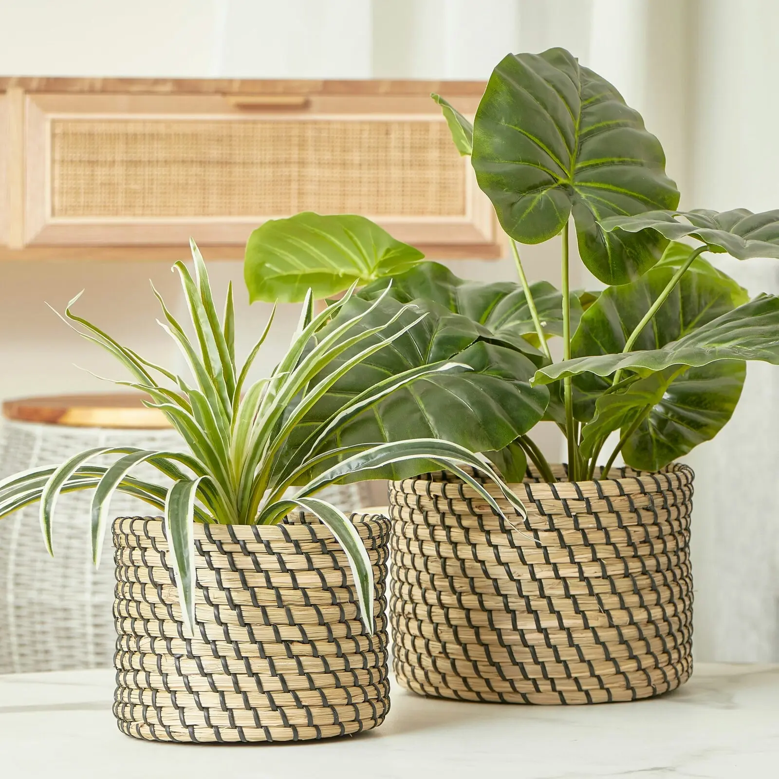 2pc Cooper & Co. Porter Seagrass Indoor Woven Fabric Planter Pot Holder Set