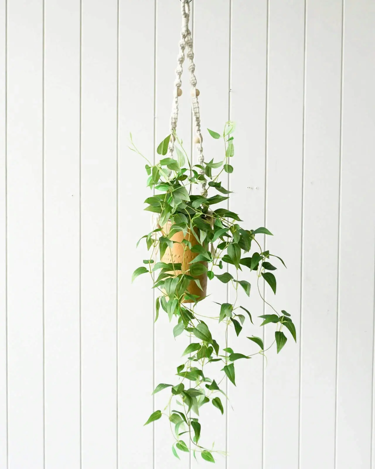 Rayell Large Lacey Hanging Pot/Planter Home Decor/Display Mustard 10x18.5x10cm