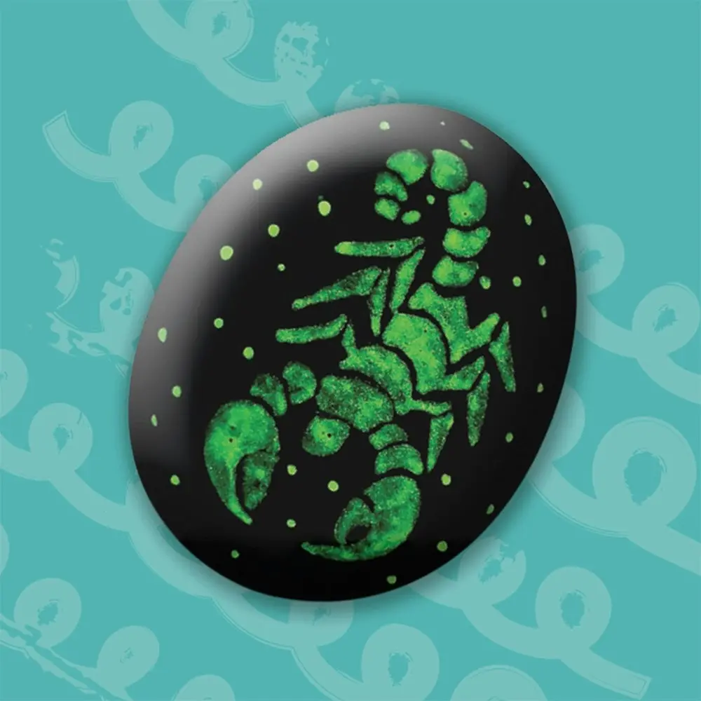 Zap! Extra Glow-in-the-Dark Rock Painting Craft Activity Kit Project 8y+