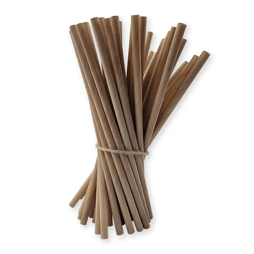 3x 100pc Eco Soulife Disposable/Compostable Biodegradable Wooden Drinking Straws