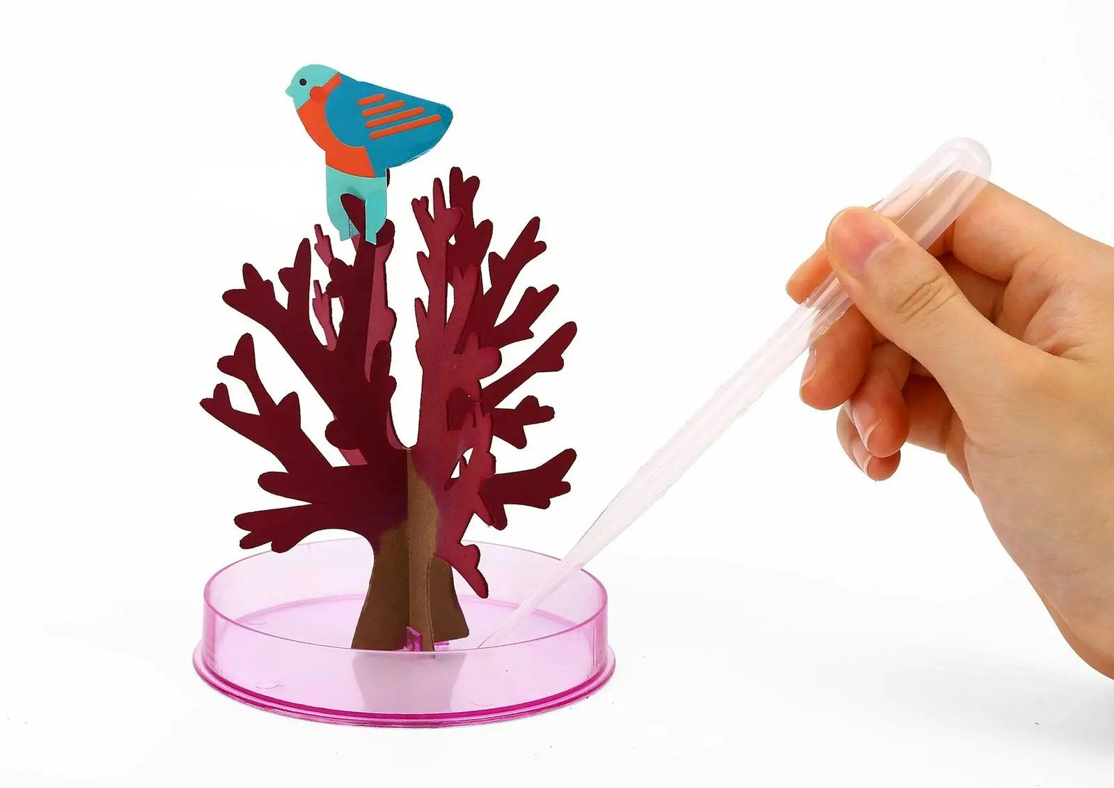 Tookyland Magic Growing Sakura Cherry Blossom Tree Art/Craft Activity Toy 3y+