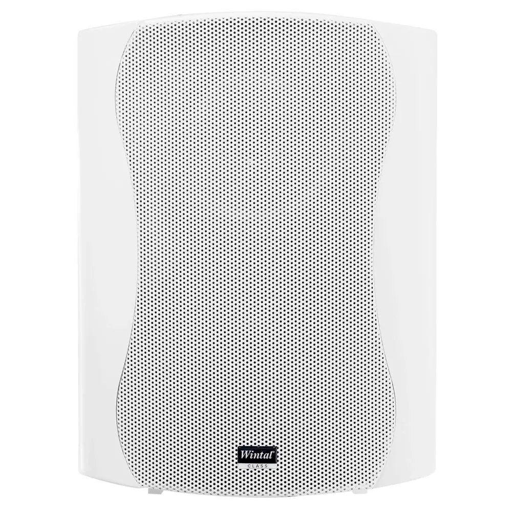 Wintal 5in Indoor/Outdoor Wall Active Box Speaker 40W RMS w/ Class D Amp White