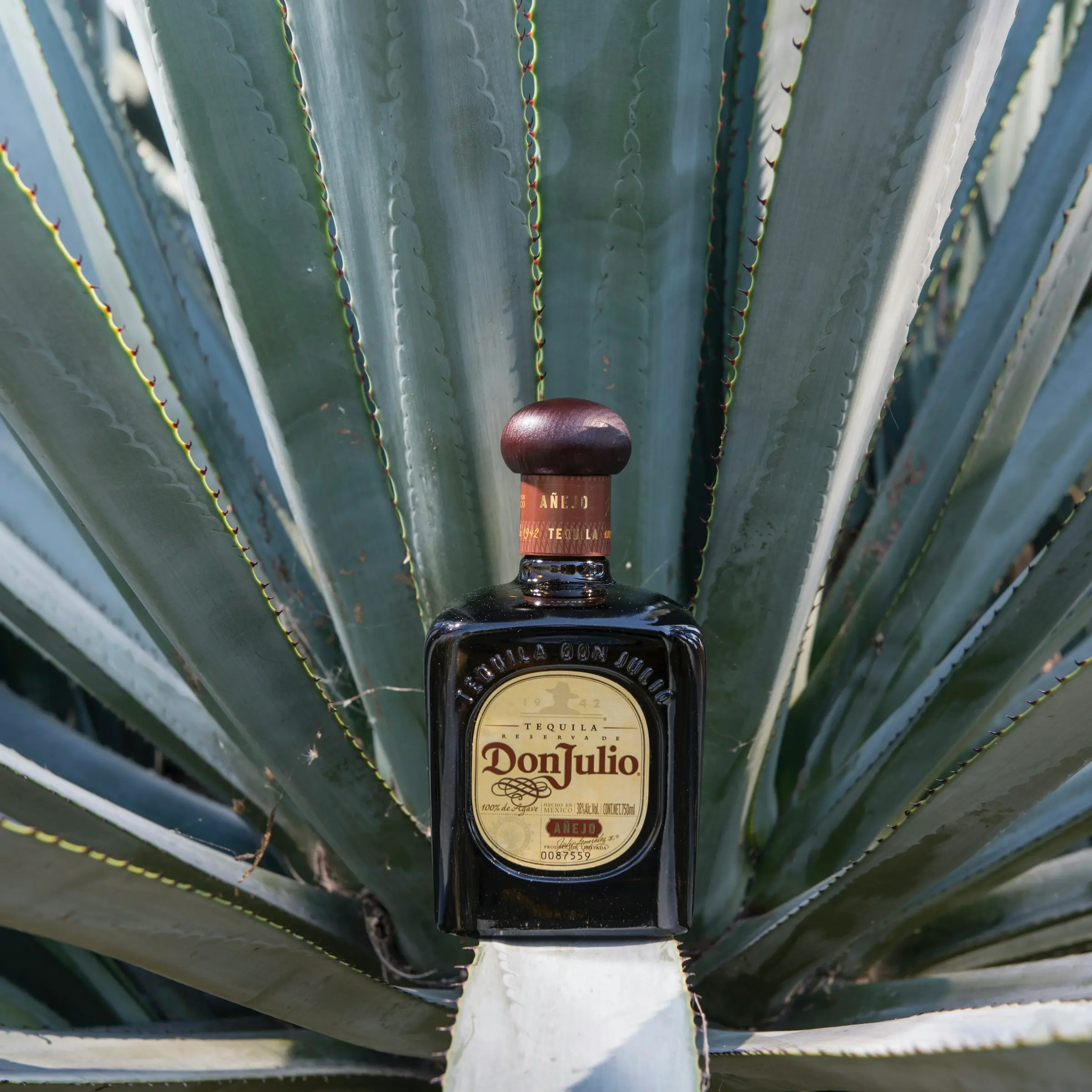 Don Julio Añejo Tequila (750mL)