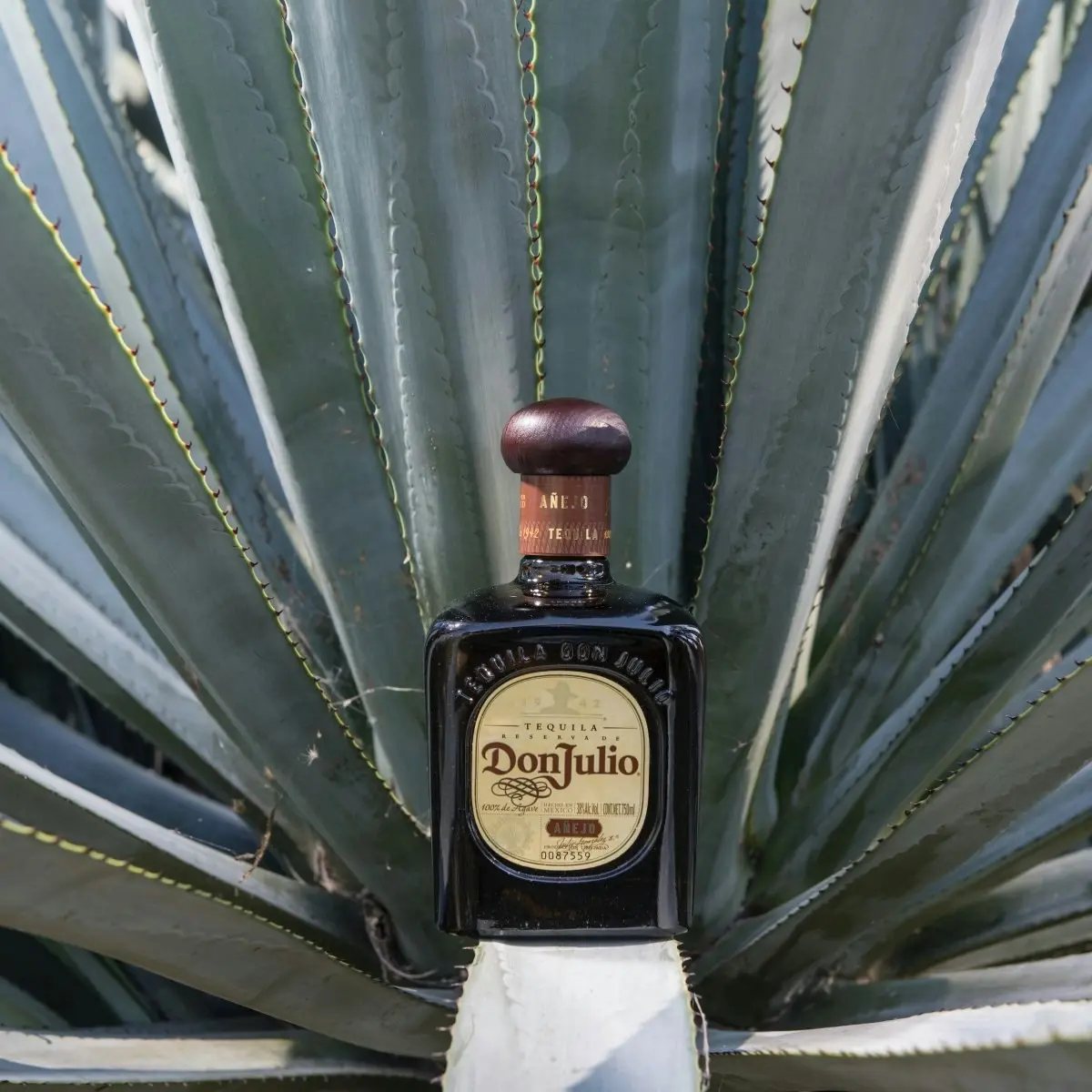 Don Julio Añejo Tequila (750mL)