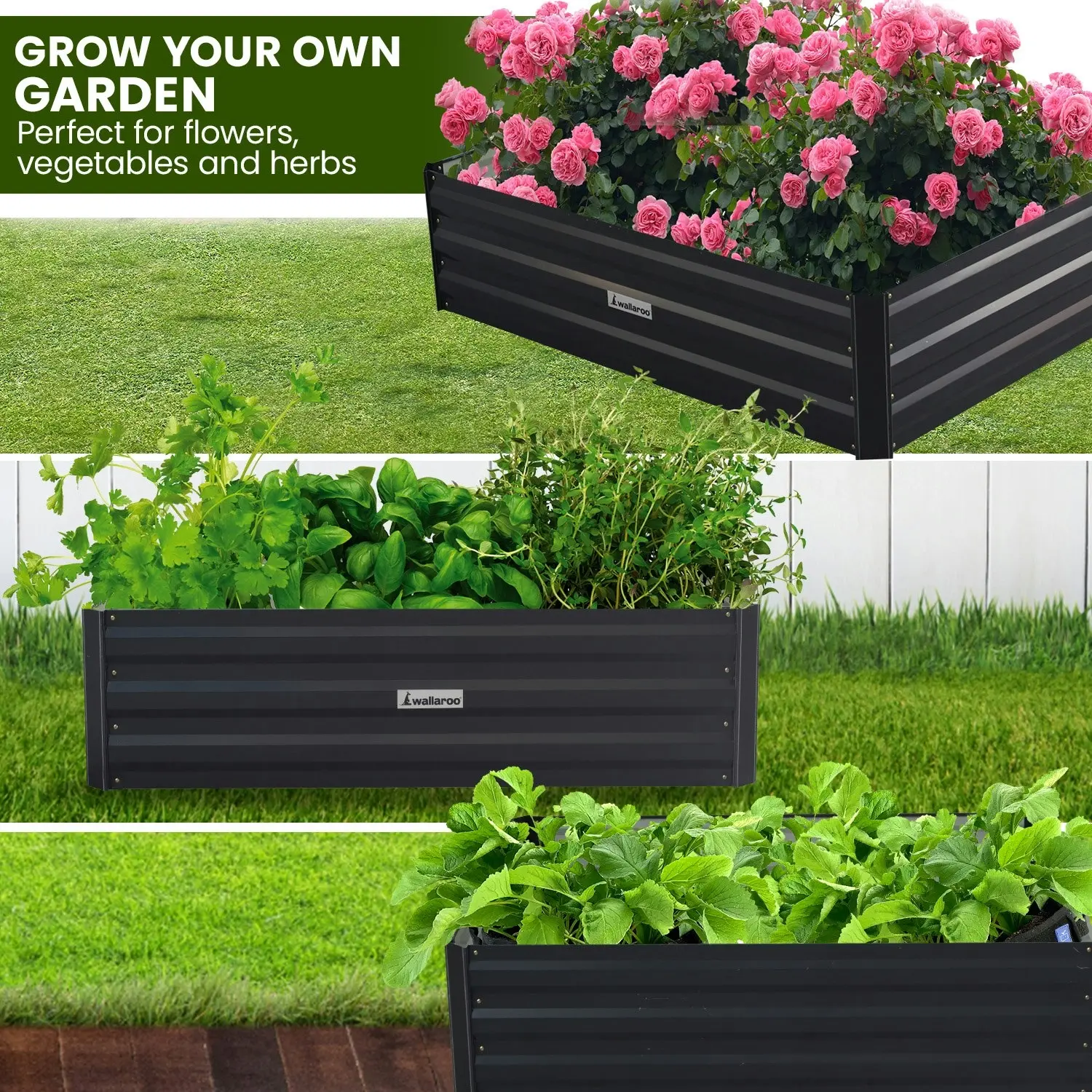 Wallaroo 100 x 60 x 30cm Galvanized Steel Garden Bed - Black