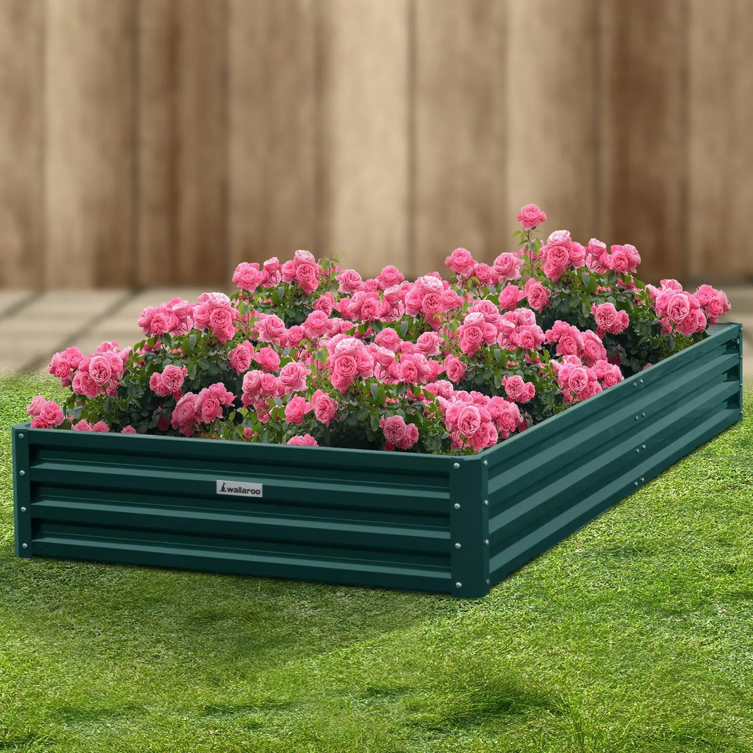 Wallaroo 240 x 120 x 30cm Galvanized Steel Garden Bed - Green