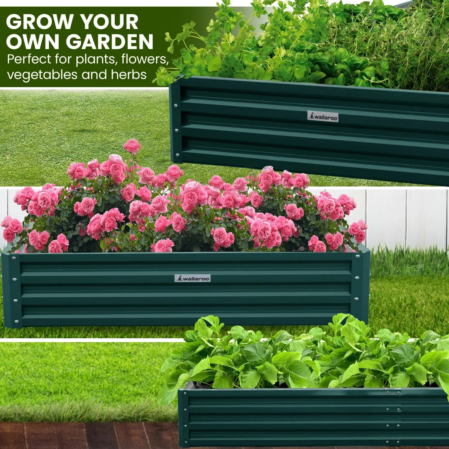 Wallaroo 240 x 120 x 30cm Galvanized Steel Garden Bed - Green